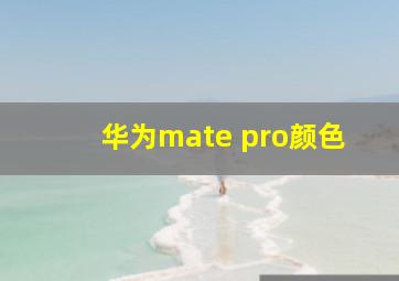 华为mate pro颜色